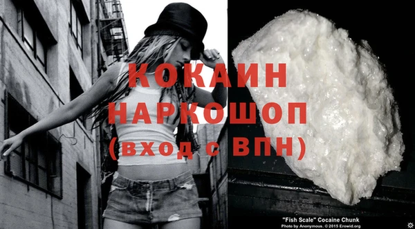 гидра Мегион