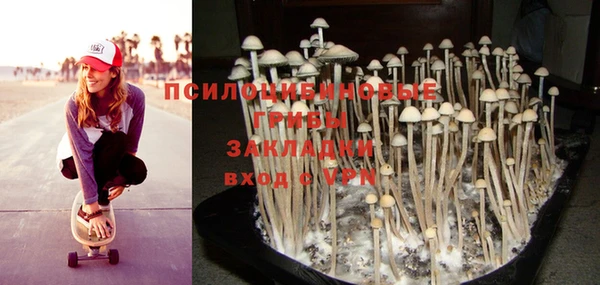 прущая мука Медвежьегорск