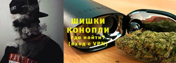 гидра Мегион